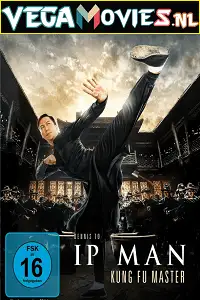 ip man kung fu master 2019