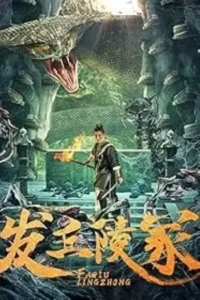 the dragon s tomb 2024