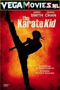 the karate kid 2010