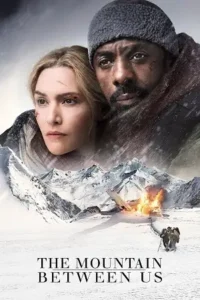 the mountain between us 2017